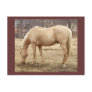 Grazing Palomino Horse Post Cards