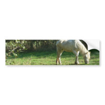 Grazing White Horse  Bumper Stickers