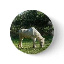 Grazing White Horse  Button