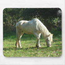 Grazing White Horse  Mouse Pad
