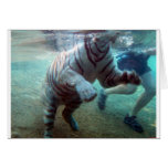 Great Adventure Tiger Greeting Card