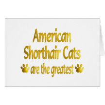 Great American Shorthair Card