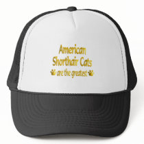 Great American Shorthair Hat
