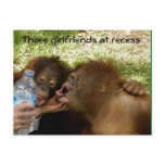 Great Ape Girlfriends at Recess postcards