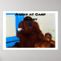 Great Ape Mother at Camp Leakey posters