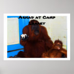 Great Ape Mother at Camp Leakey Poster