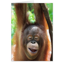 Great Ape Smiles Make Life Better Greeting Card