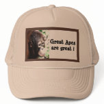 Great Apes are great! hats