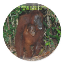Great Apes Life in the Wild #1