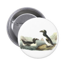 Great Auk, John Audubon Pinback Buttons