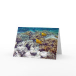 Great Barrier Reef Greeting Card