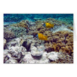 Great Barrier Reef Greeting Card