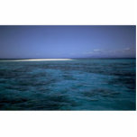 Great Barrier Reef, Queensland, Australia photo sculptures