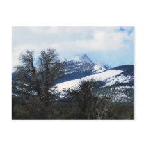 Great Basin National Park Post Card