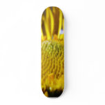 Great Big Yellow Flower Macro Image skateboards