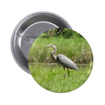Great Blue Heron Button