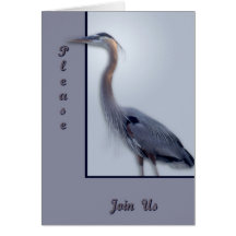 Great Blue Heron Greeting Card