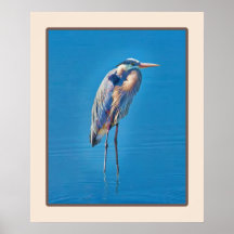 Great Blue Heron Wading at the Pond Poster