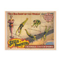 Great Costellos Trapeze Show Circus Poster postcards