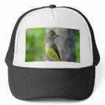 Great Crested Flycatcher Hat