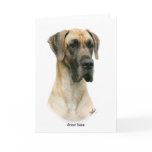 Great Dane 9Y052D-035 cards
