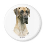 Great Dane 9Y052D-035 magnets