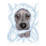 Great Dane Baby Black Boy Announcement Postcards