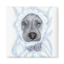 Great Dane Baby Blue Boy magnets