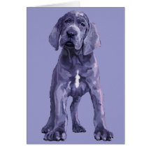 Great Dane "Big Baby" Puppy Cards