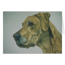 Great Dane Birthday Card