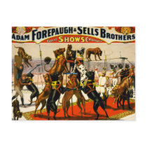Great Dane Circus Show Postcards