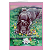 Great Dane Greeting Cards