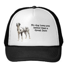 Great Dane Harlequin Hat