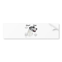 Great Dane (harlequin) History Design