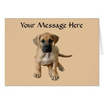 Great Dane King of Dogs Greeting Card