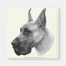 Great Dane Magnets