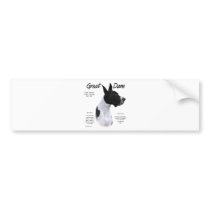 Great Dane (mantle) History Design