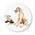 Great Dane Naughty Pup Fawn UC magnets