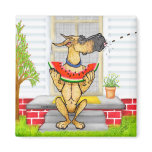Great Dane SPIT Fawn magnets