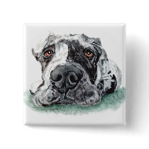 Great Dane Taped Up Merle Pins