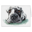 Great Dane Taped Up Merle cards