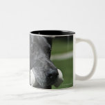 Great Dane with bone Coffee Mugs