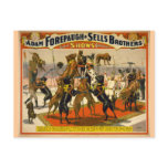 Great Danes / Dogs Circus Poster postcards
