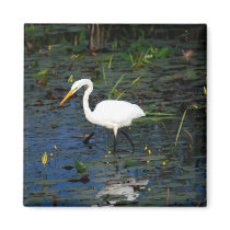 Great Egret Fridge Magnet