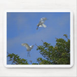 Great Egret Mouse Pad