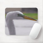 Great Egret posing mousepads