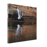 Great Egret Stretched Print Stretched Canvas Prints