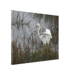 Great Egret Stretched Print Gallery Wrapped Canvas