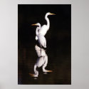 Great Egrets posters