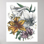 Great Florals posters